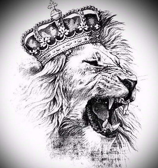 Here's a good sketch for a snarling lion tattoo