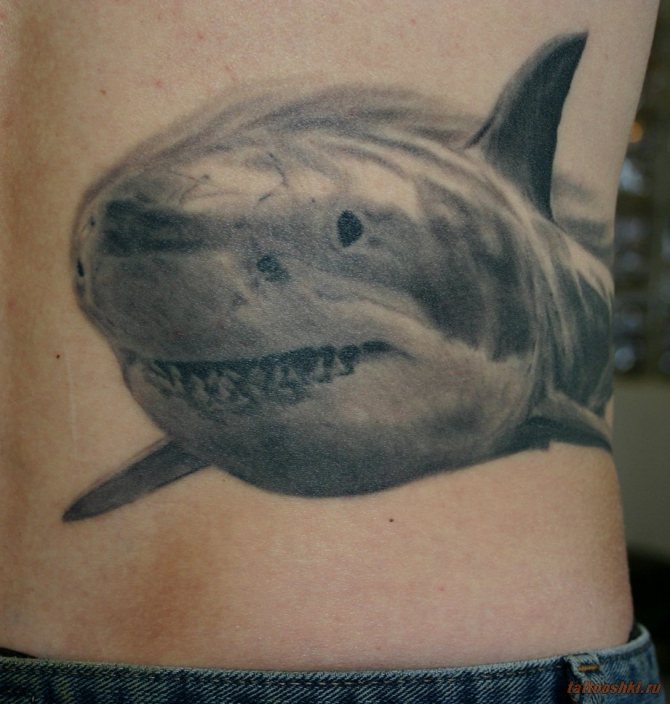 Tatuaggio di uno squalo sul corpo di un corruttore o di un contrabbandiere