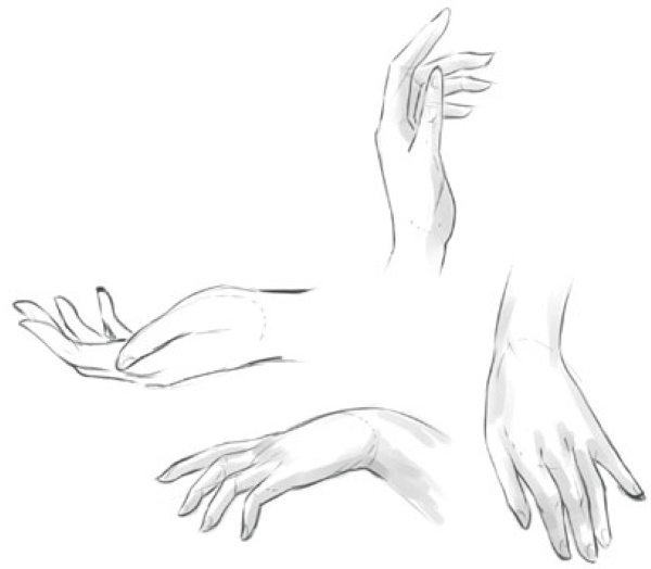 Anatomy of hands for drawing beginners step by step. Construction completely