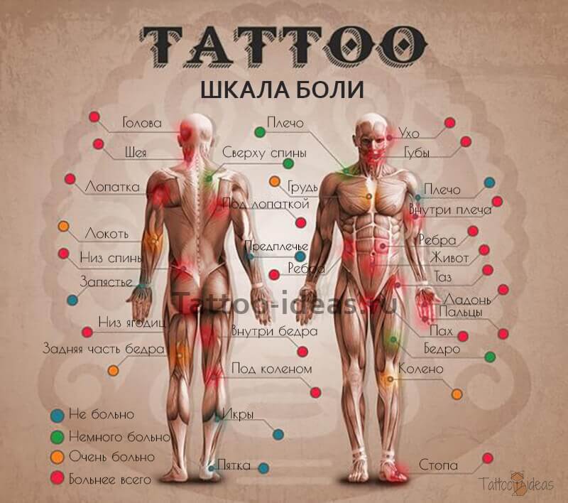 Does it hurt to get a tattoo - Tattoo Pain Map - Tattoo Pain Map