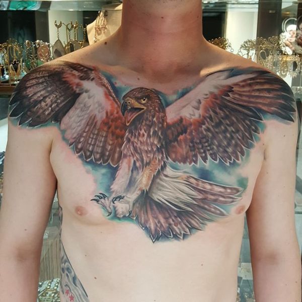 Large colored hawk on guy's chest