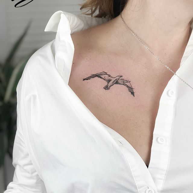 Seagull tattoo, sketch art