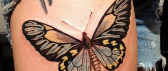 What does a butterfly tattoo mean to a girl