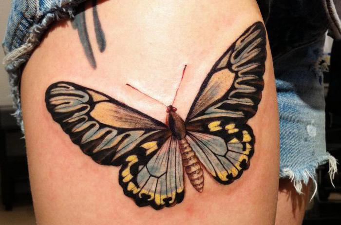 What does girls tattoo mean butterflies