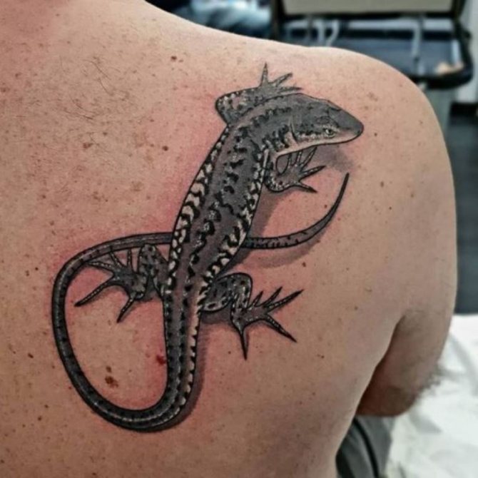 what does tattoo lizard mean