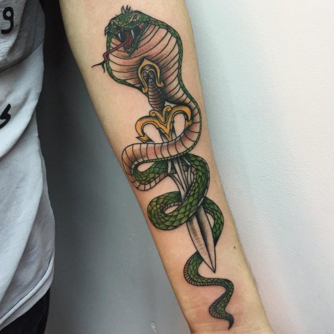 What snake tattoo means