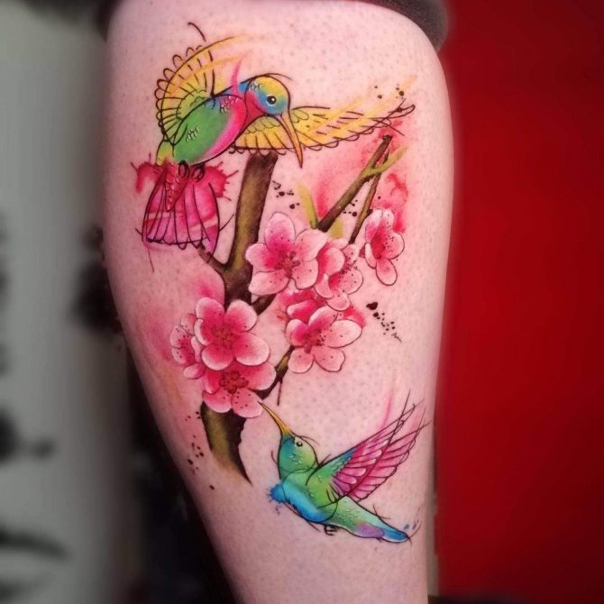 Colored Hummingbird tattoo near flowers