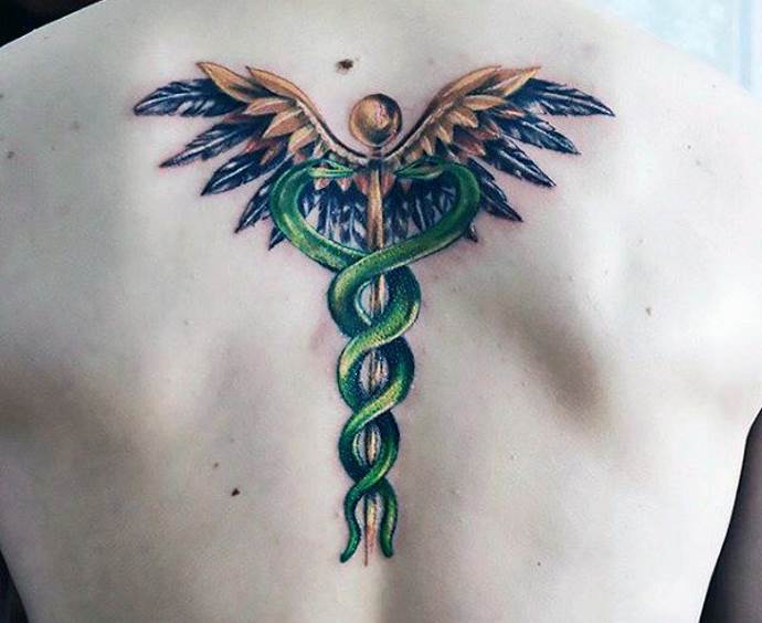 colored image of the caduceus