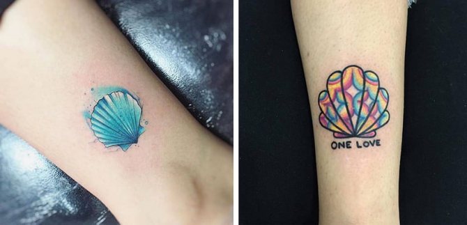Colored tattoos of seashells