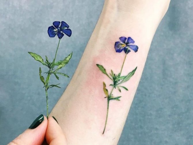 flower and tattoo