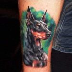 Dobermann Tattoo sul braccio