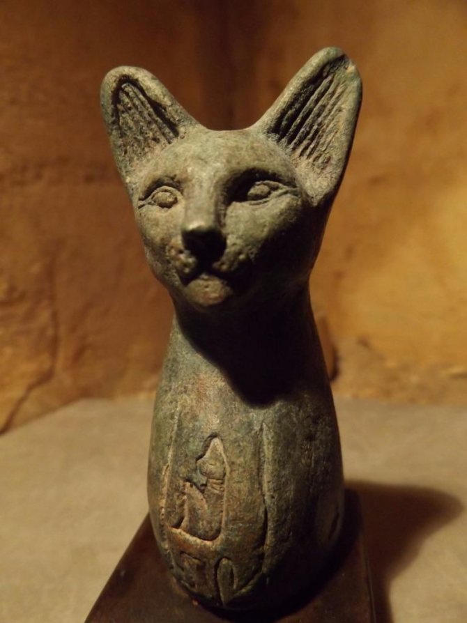 Ancient Egyptian statuette of a cat