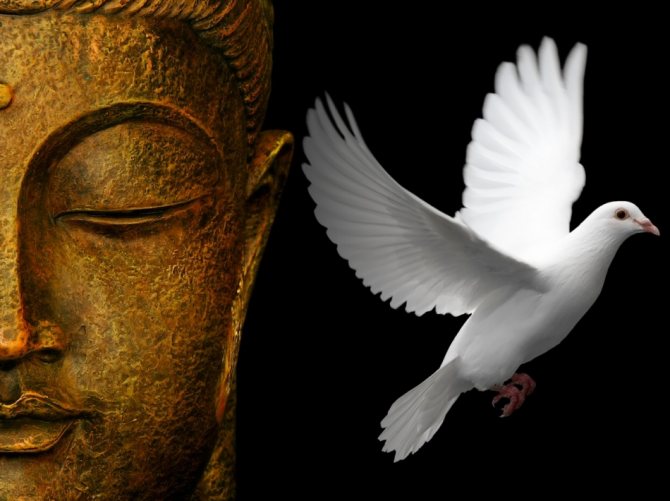 Zen Buddhism - Philosophy and Art of Life
