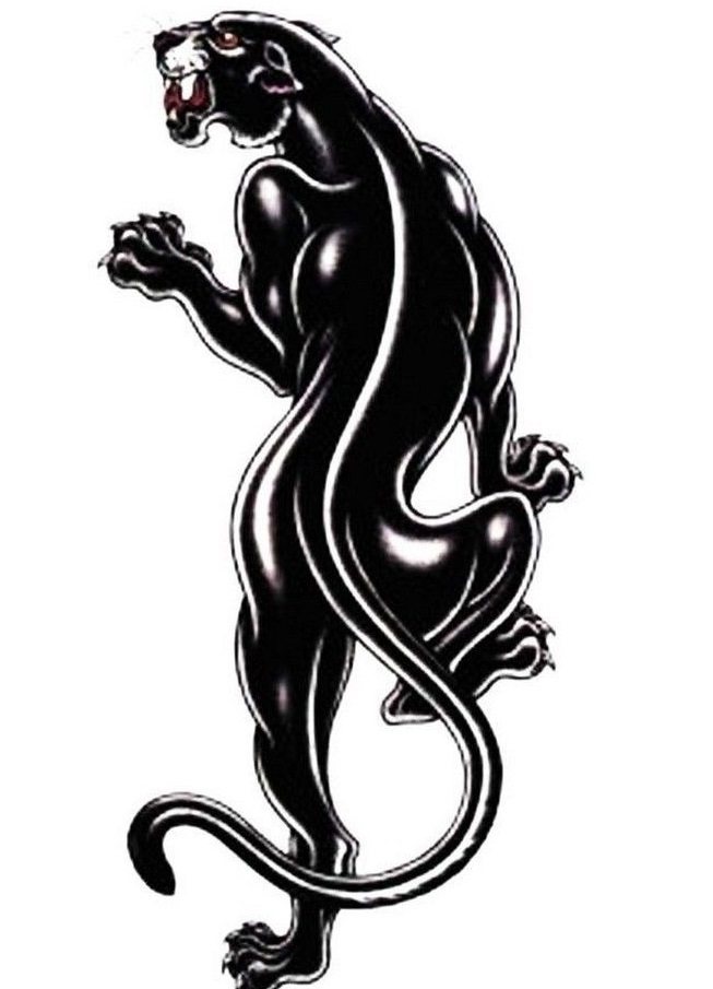 Sketch for tattoo of a panther