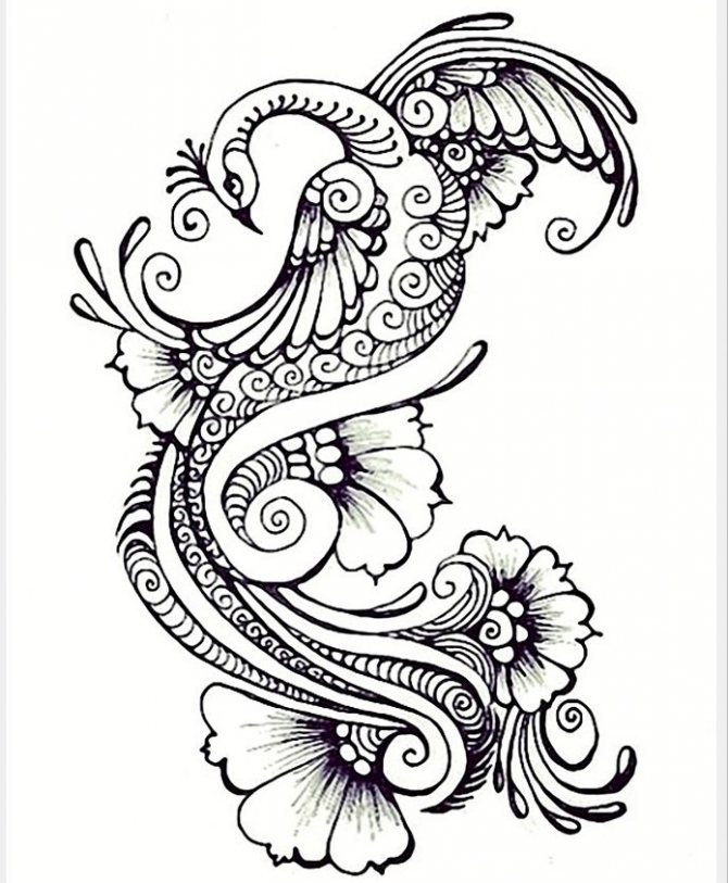 Sketch for Peacock Tattoo