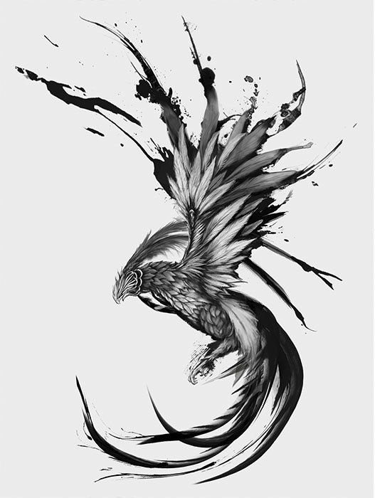 Sketch for a phoenix tattoo