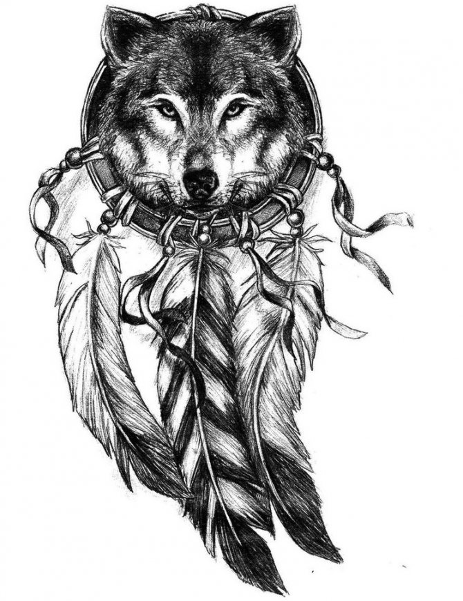 Sketch of male tattoo in the form of a wolf in a dream catcher amulet