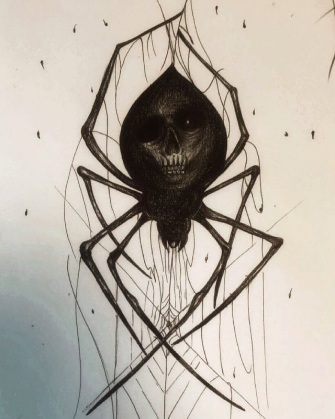 Sketch of a spider
