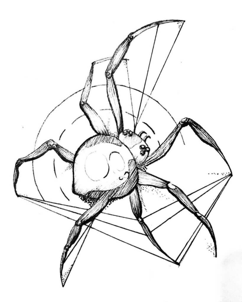 Sketch of a spider