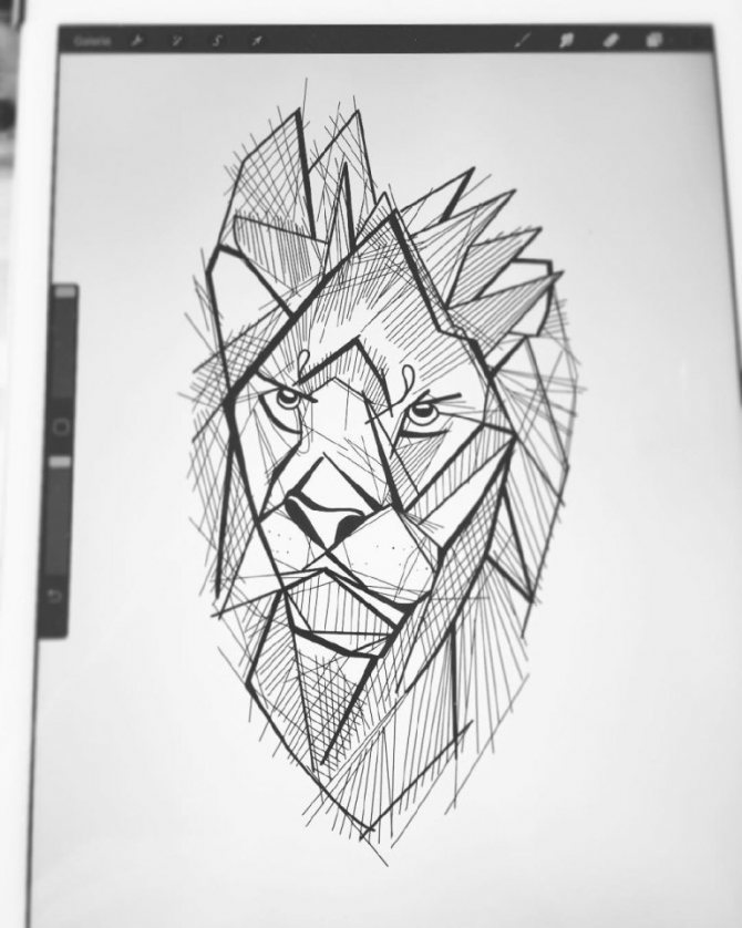 Sketch of a lion tattoo
