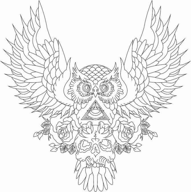 owl tattoo sketch