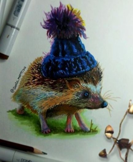 Sketch of tattoo: a hedgehog in a cap