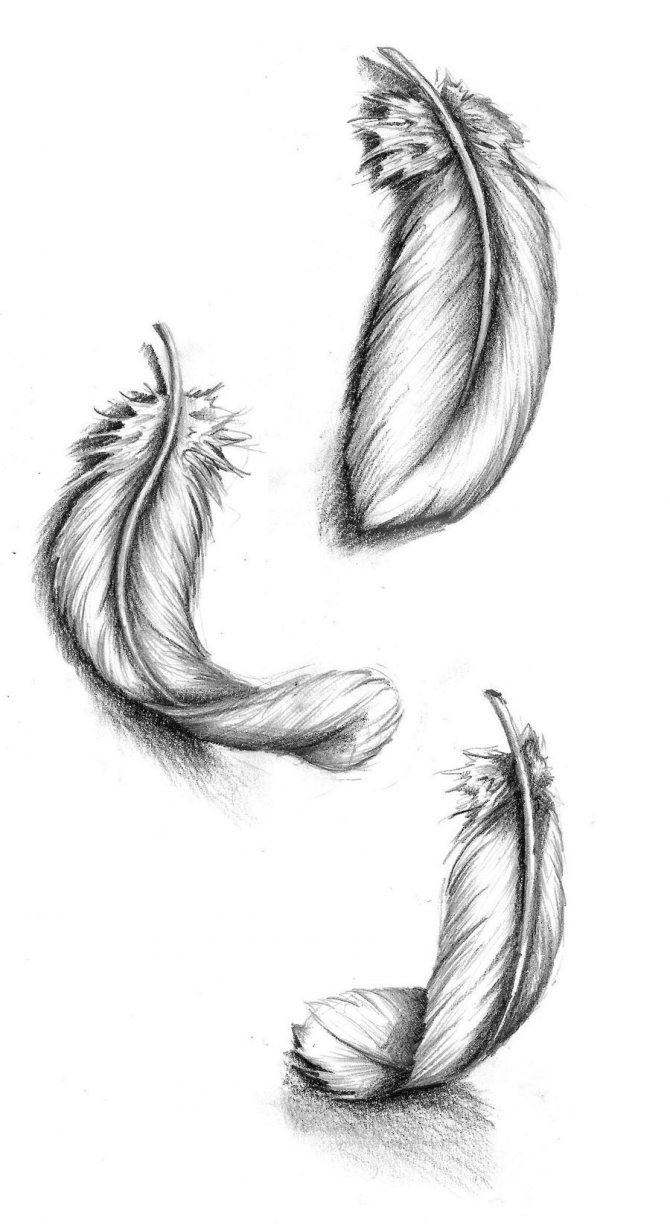 Sketch of a foot tattoo with feathers