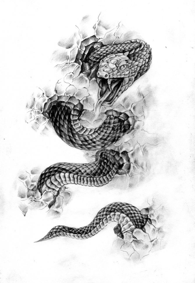 Sketch of a foot tattoo with a snake