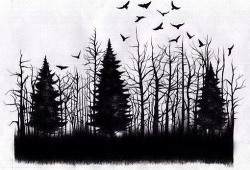 Sketches of black tattoos forest with birds