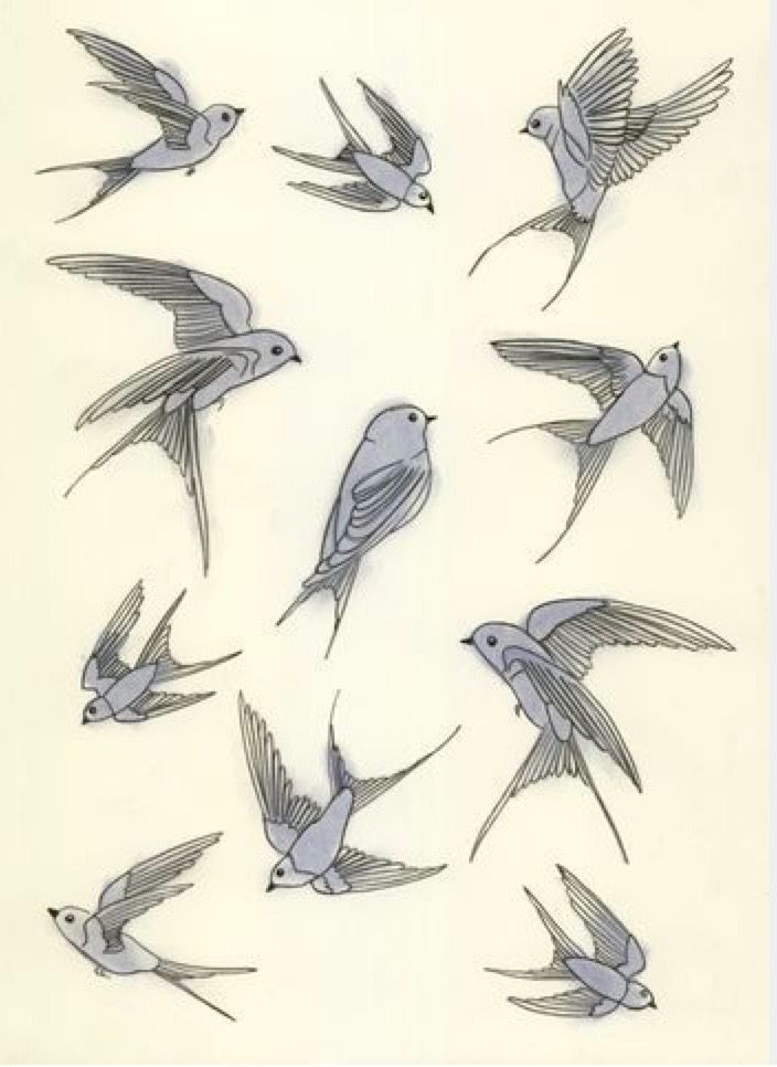 Sketches for tattoos in the shape of swallows