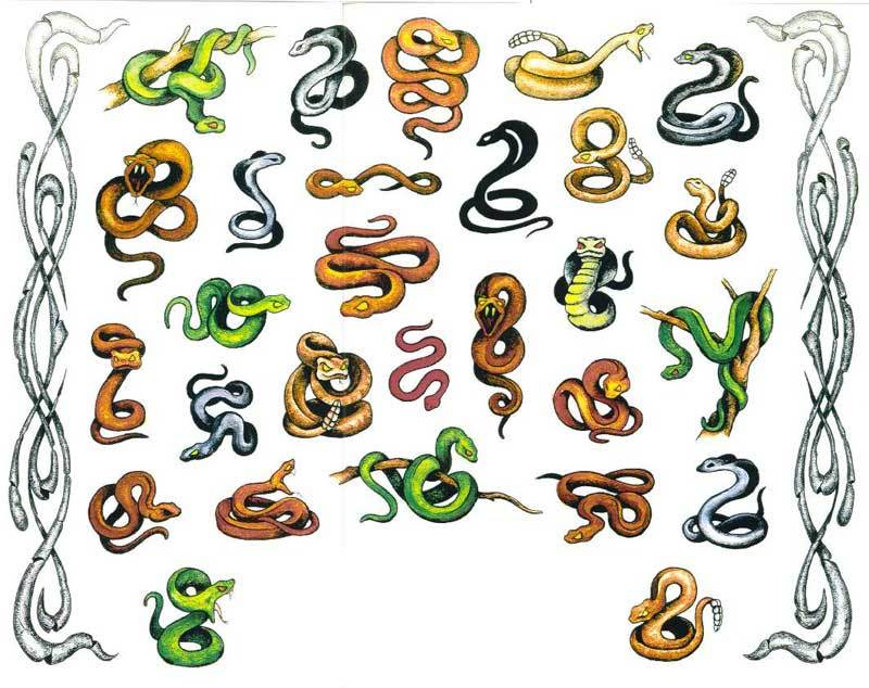 Sketches of colorful snakes