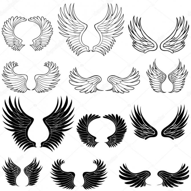Sketches of tattoo wings