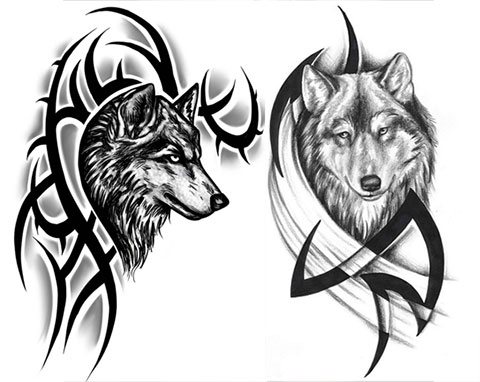 Sketches of wolf tattoo on the shoulder