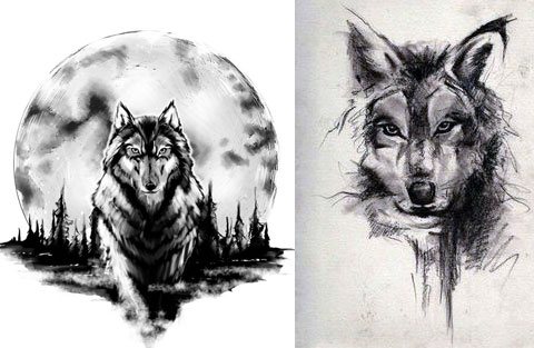 Sketches of tattoo wolf on the shoulder
