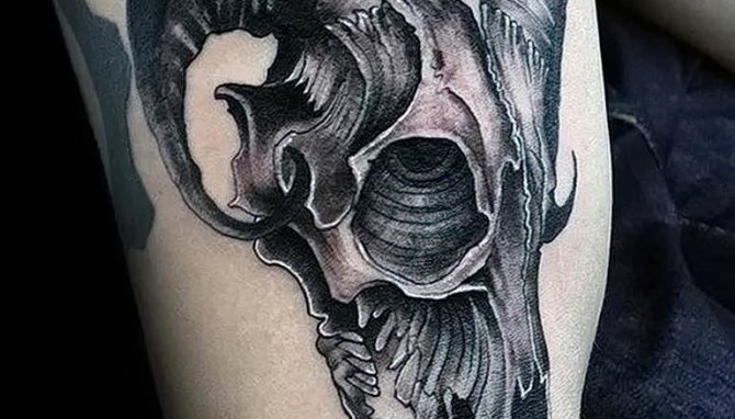 Photo goat skull tattoo 28.07.2019 #004 - goat skull tattoo - tattoo-photo.ru