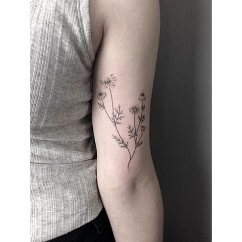 Tattoo of a girl's daisy