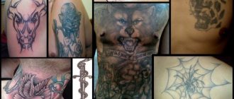 Photo of prison tattoos