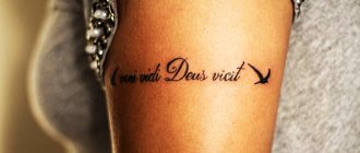 Phrases for tattoos with meaning for girls in Latin with translation in English, French, Italian