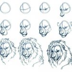 Lion's head drawing in pencil step by step. Color, black and white for children