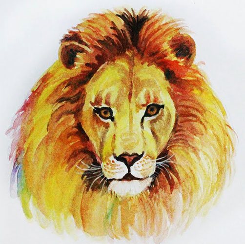 Lion head drawing in pencil step by step. Color, black and white for kids