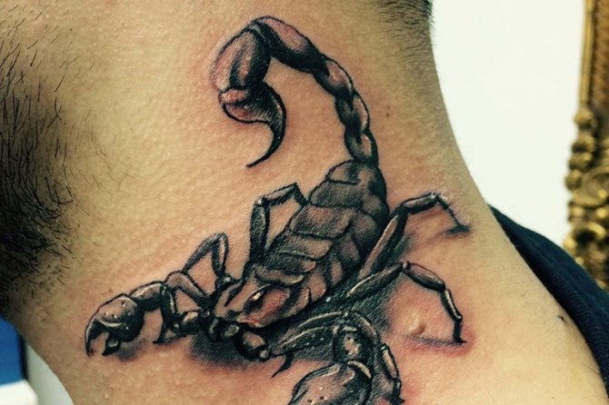 Idea for a tattoo with a scorpion