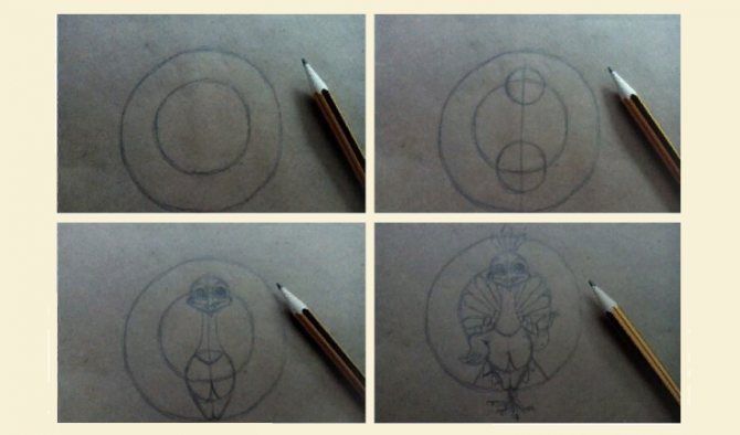 Instrucțiuni despre cum să desenezi un păun