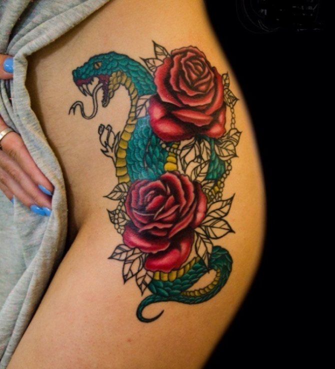 Interesting color tattoo on the body of the girl zveja and roses