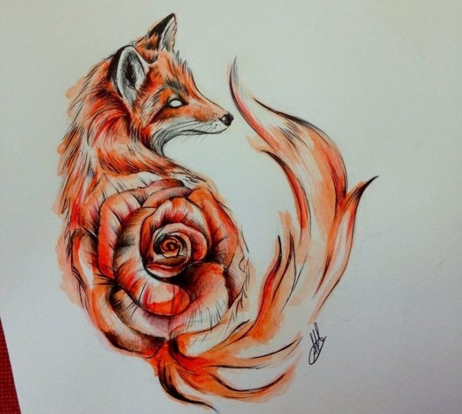 Interesting fox and rose tattoo sketch