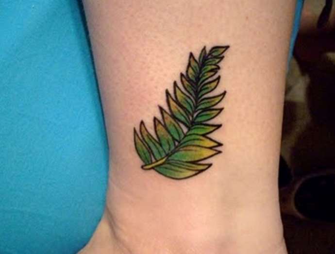 An image of a plant on the ankle