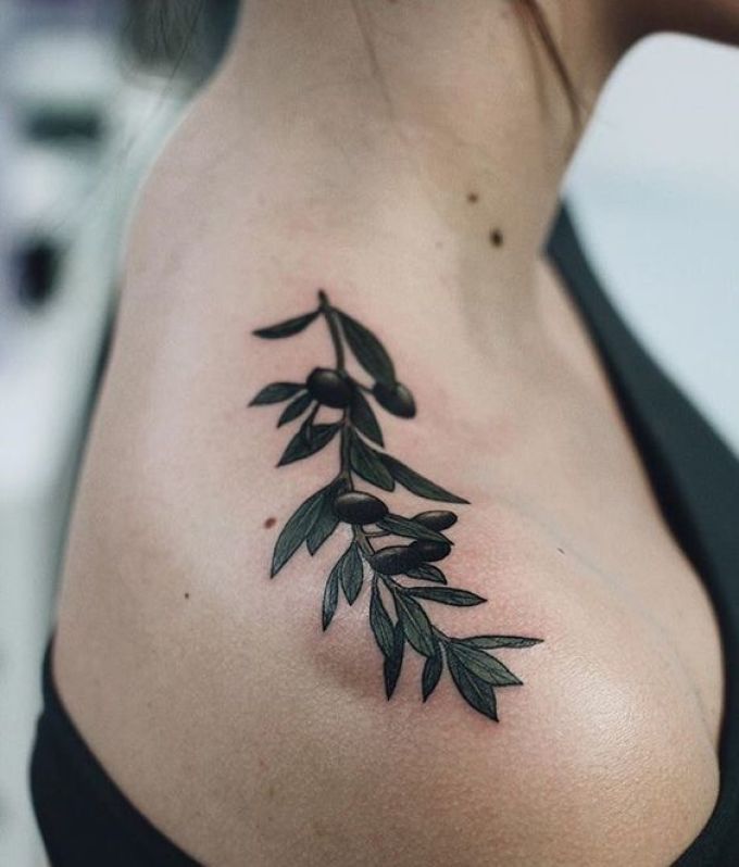 Graceful tattoo in the form of an olive branch