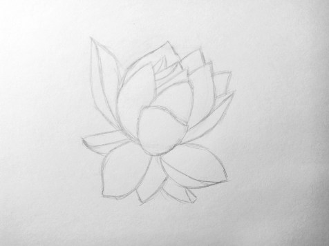 Come disegnare un fiore a matita? Una lezione passo dopo passo. Passo 6. Ritratti a matita - Fenlin.ru