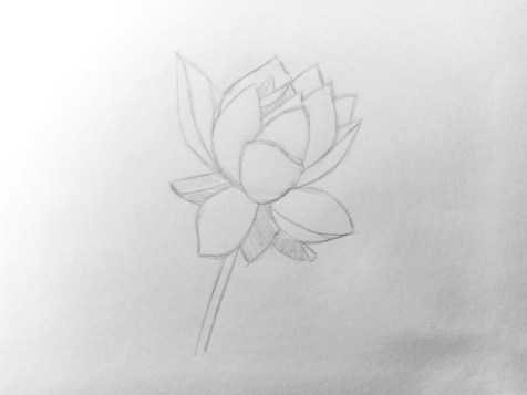 Come disegnare un fiore con la matita? Lezione passo dopo passo. Passo 8. Ritratti a matita - Fenlin.ru