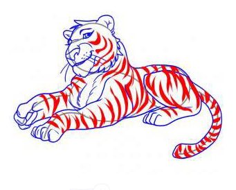 How to draw a cartoon tiger