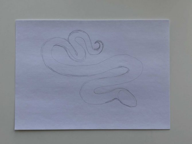 How to draw a snake in pencil step by step - simple snake 1 step - photo